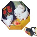 명화_아서 헤이어-고양이와 꽃 3단자동우산